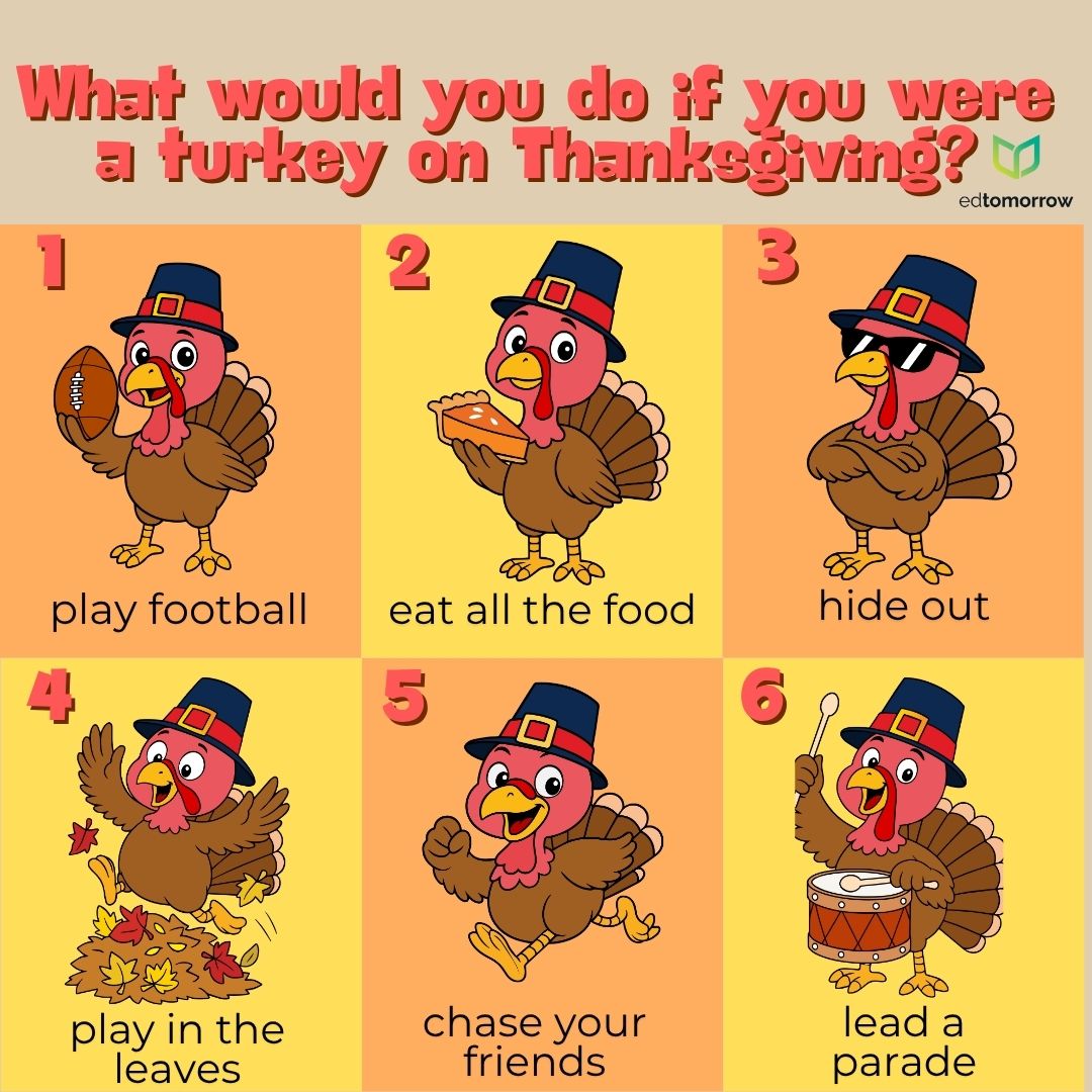 Turkey for a Day