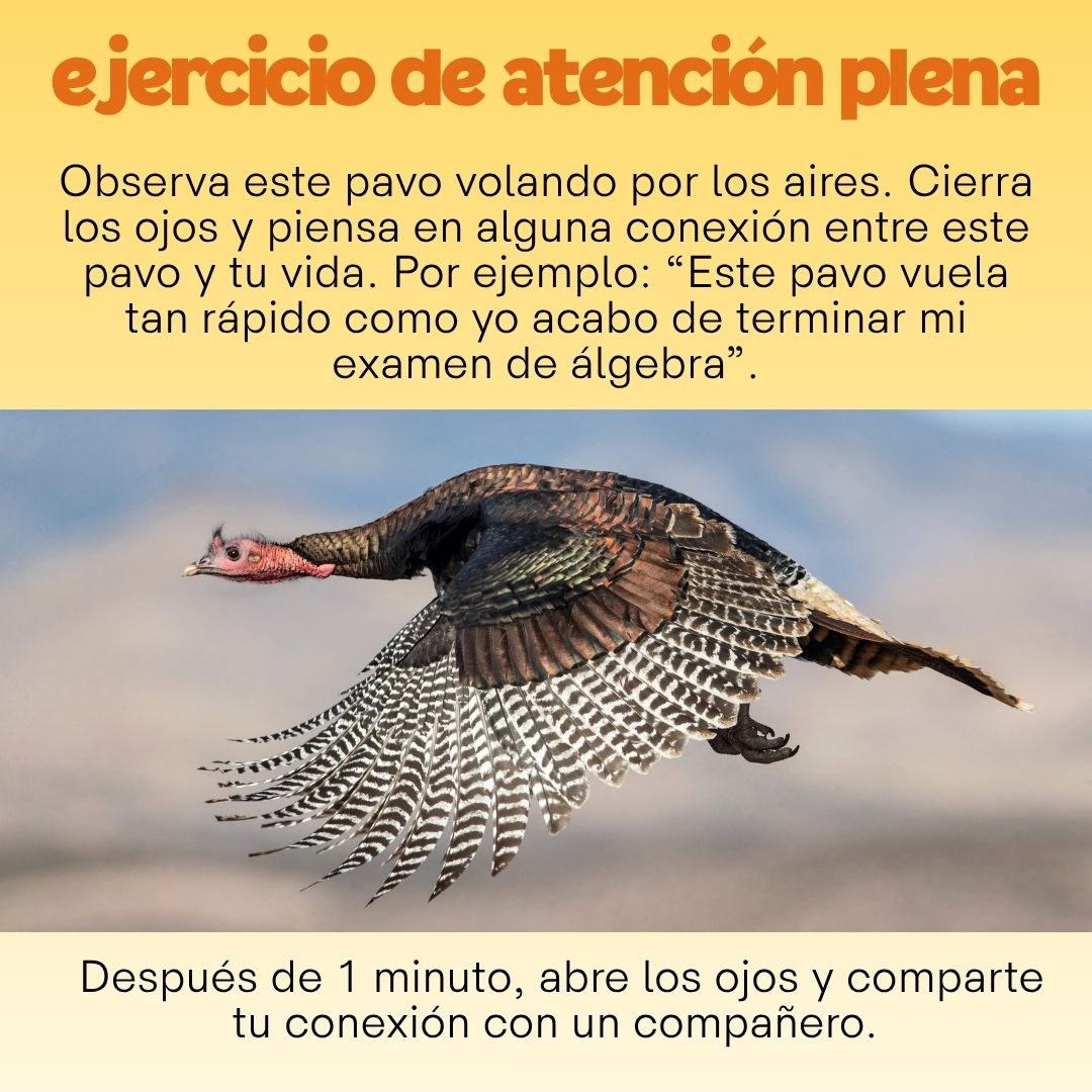Ejercicio De Atención Plena