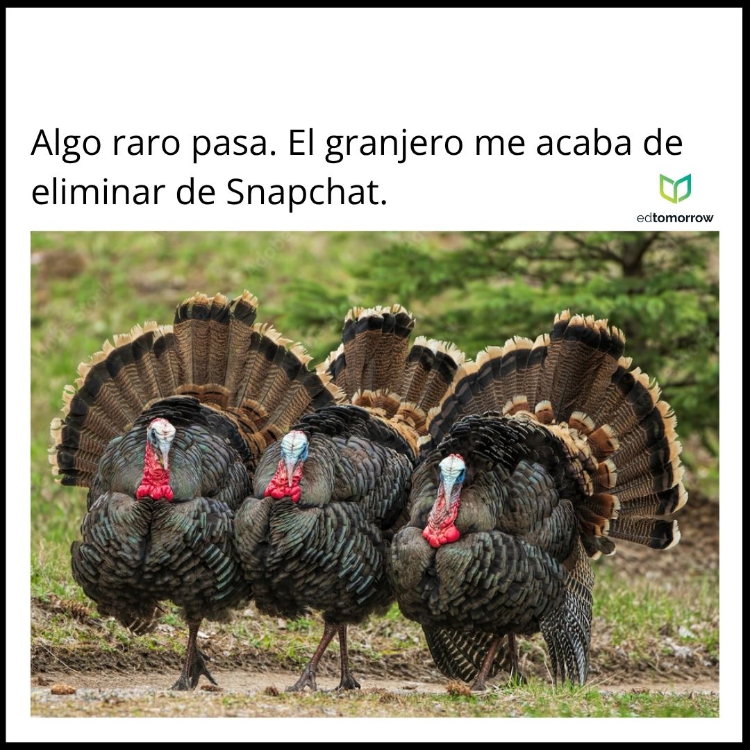 Snapchat Del Pavo