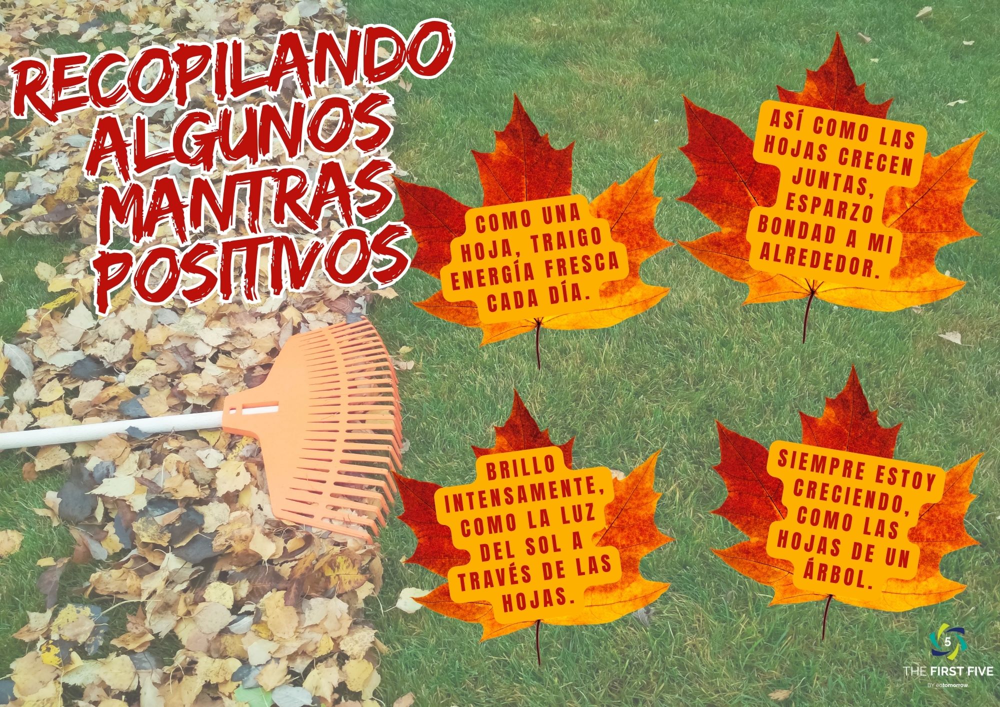 Recopilando Mantras Positivos