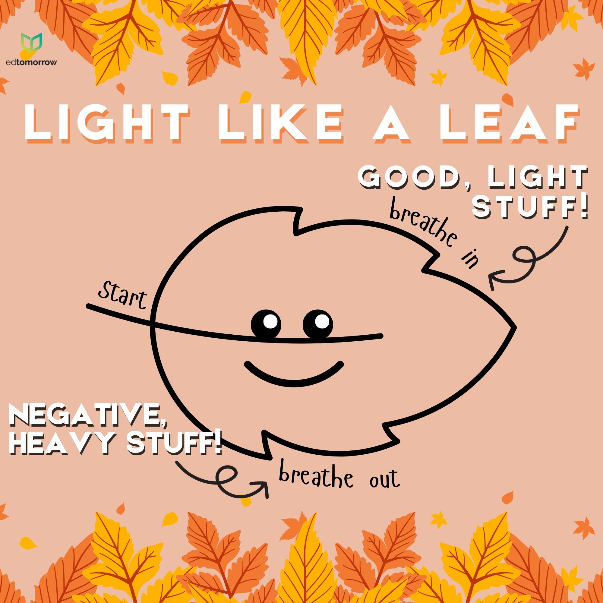 Light Like a Leaf
