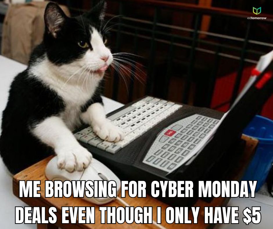 Cyber Monday Cat