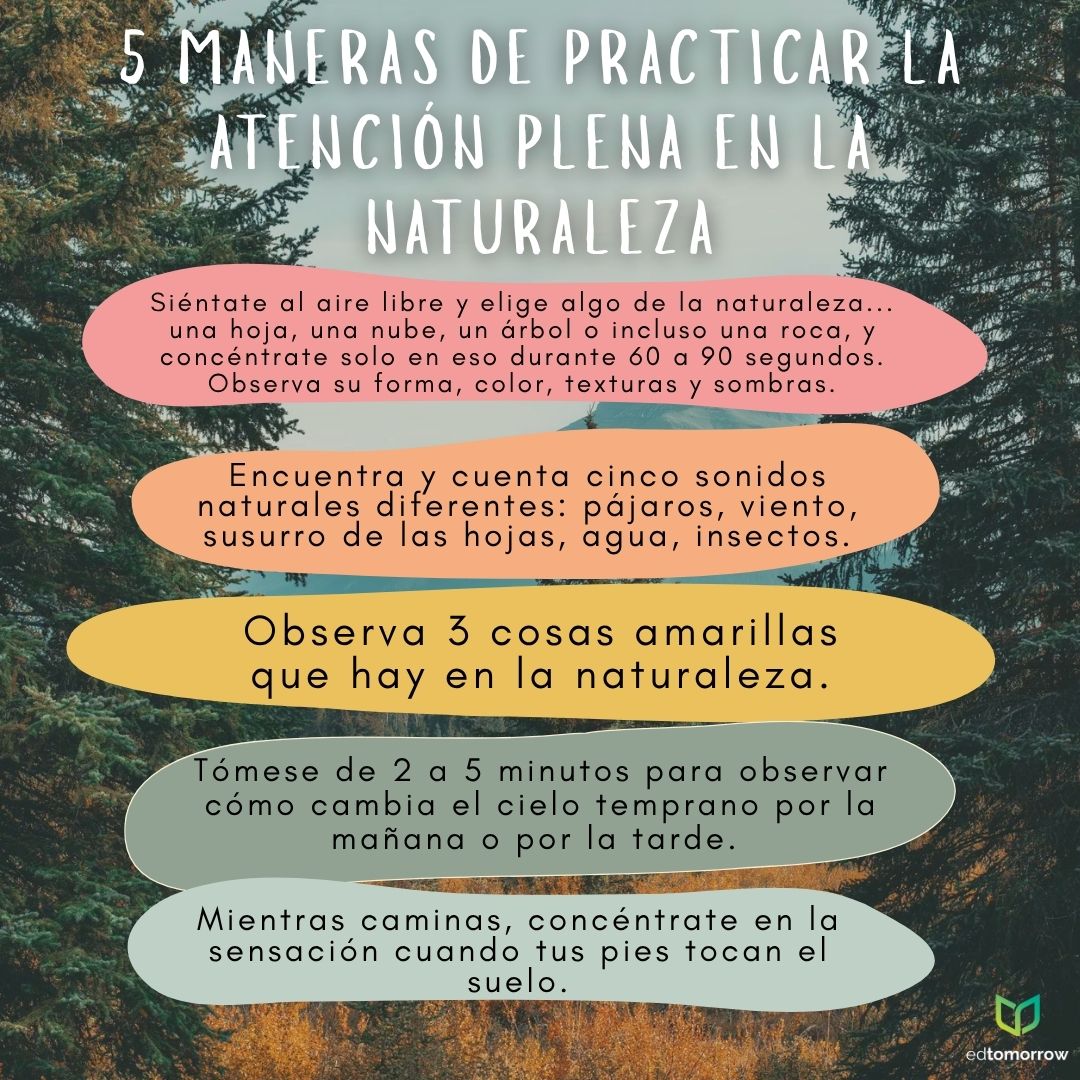Atención Plena en la Naturaleza