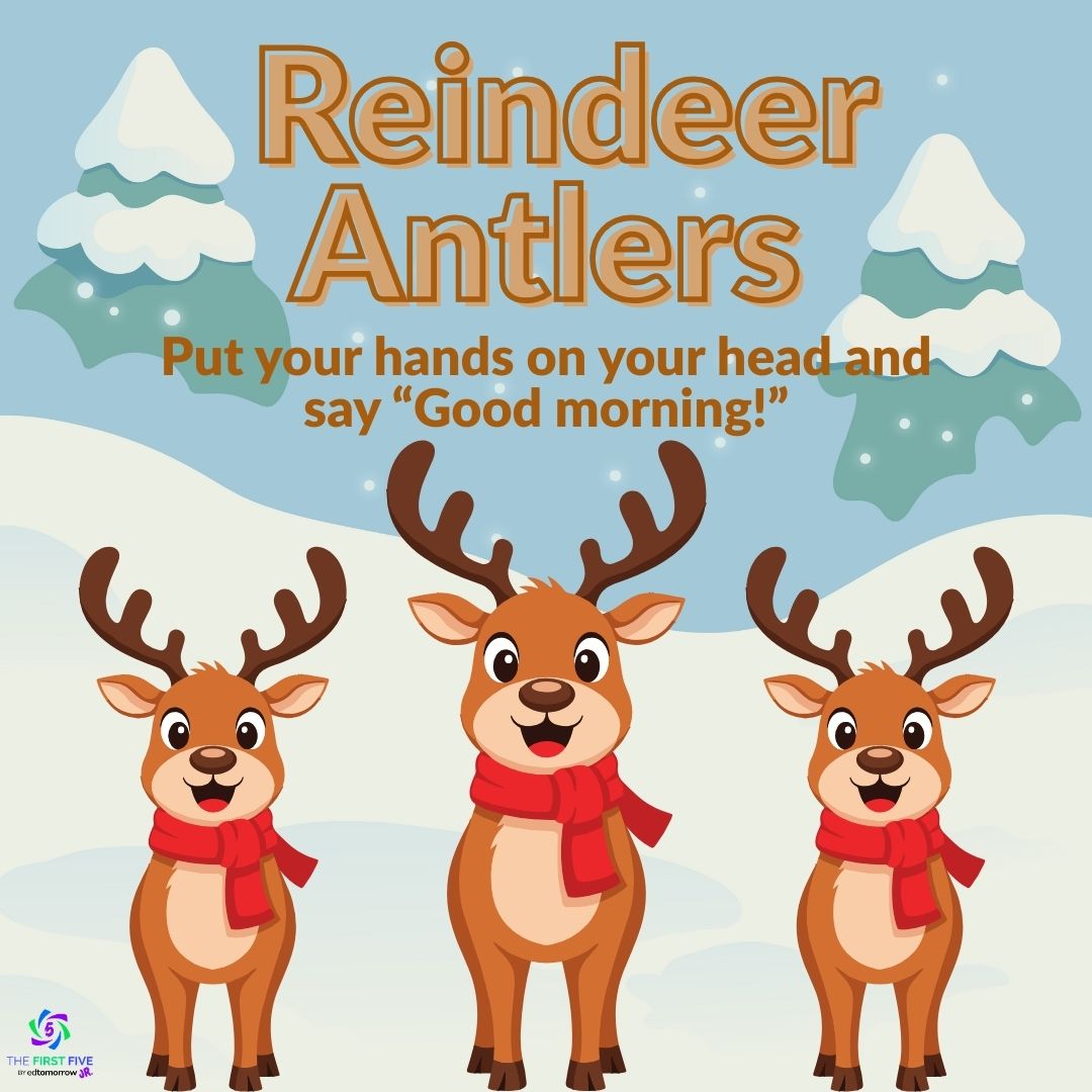Reindeer Antlers