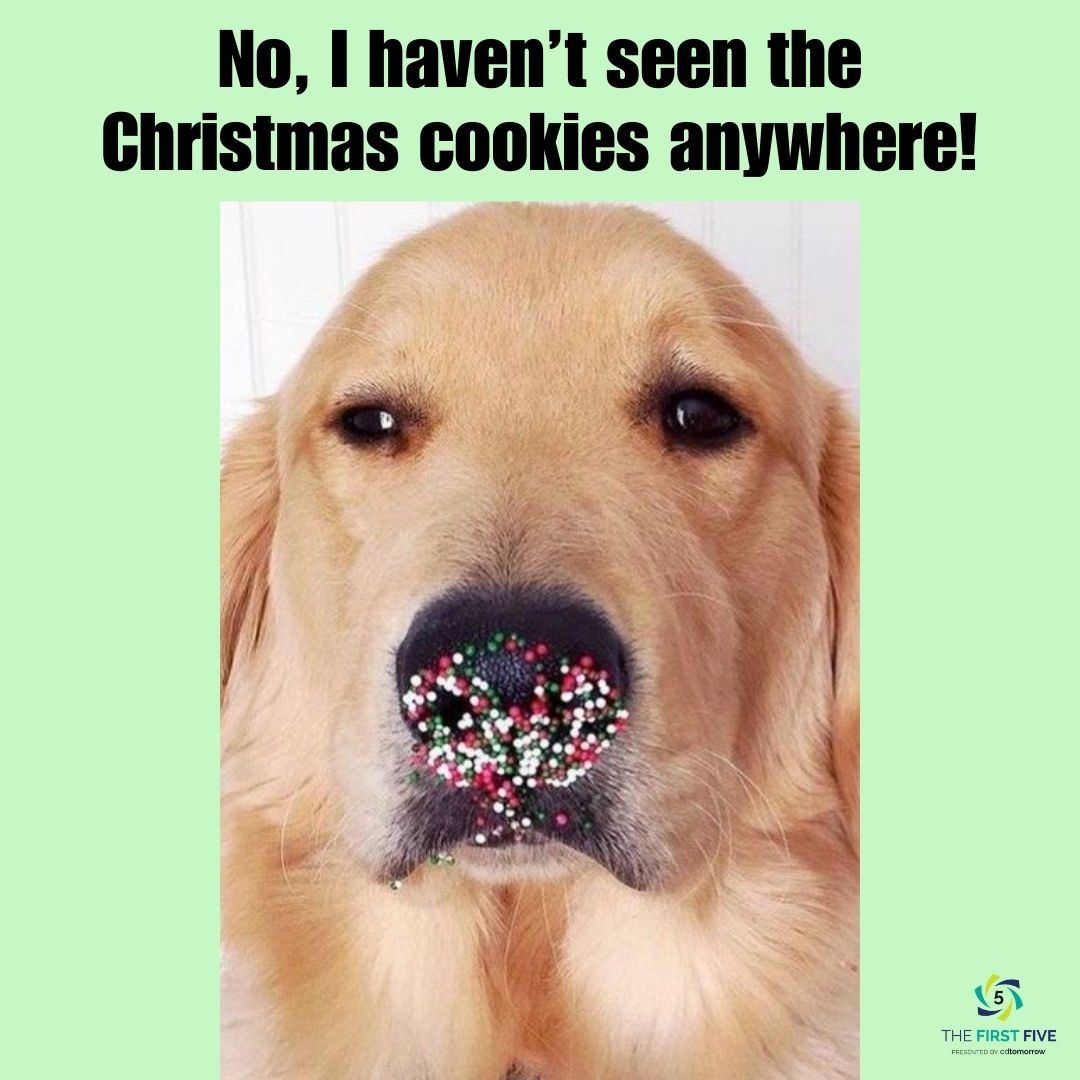 Dog with Sprinkles