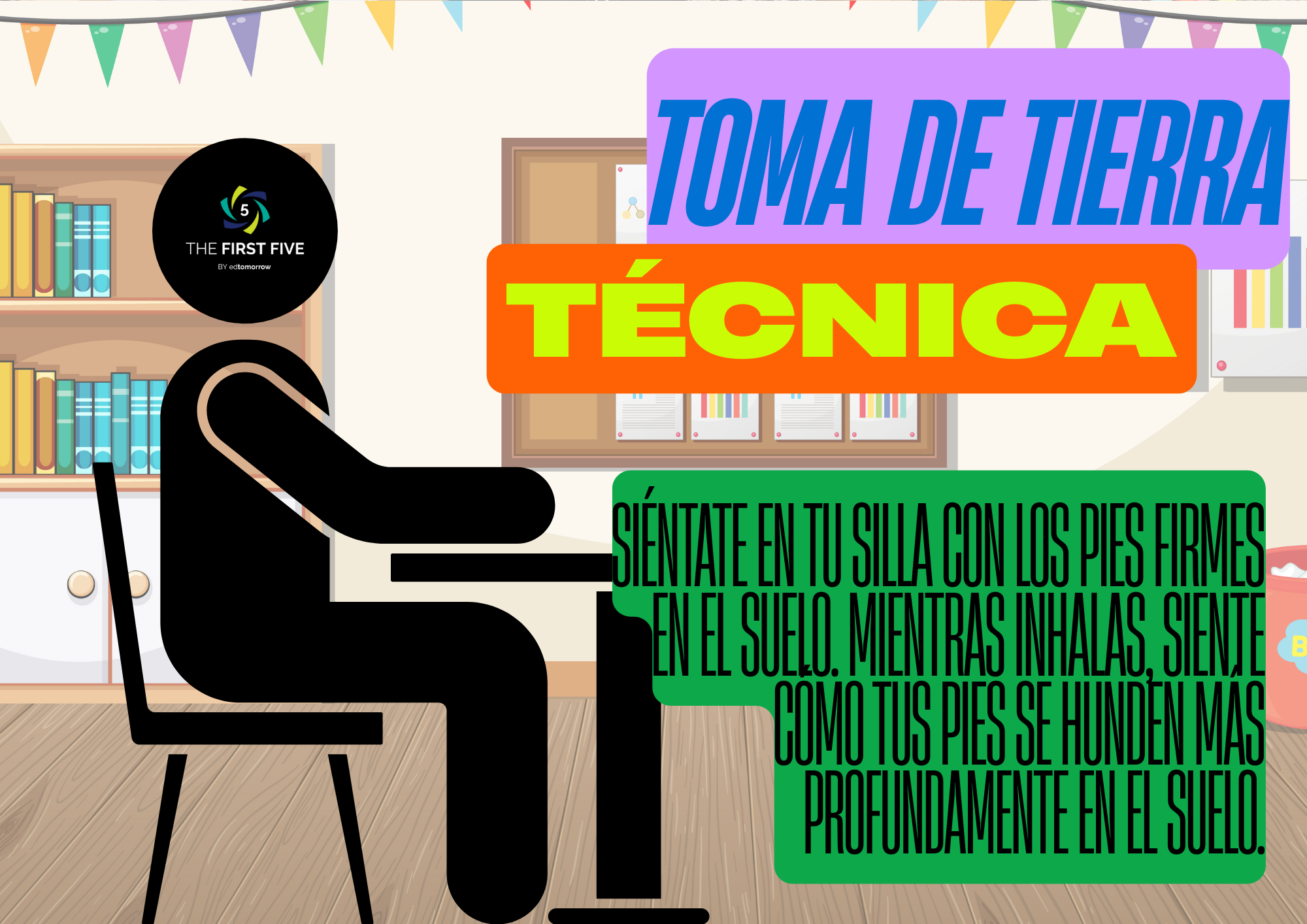 Toma de Tierra Técnica