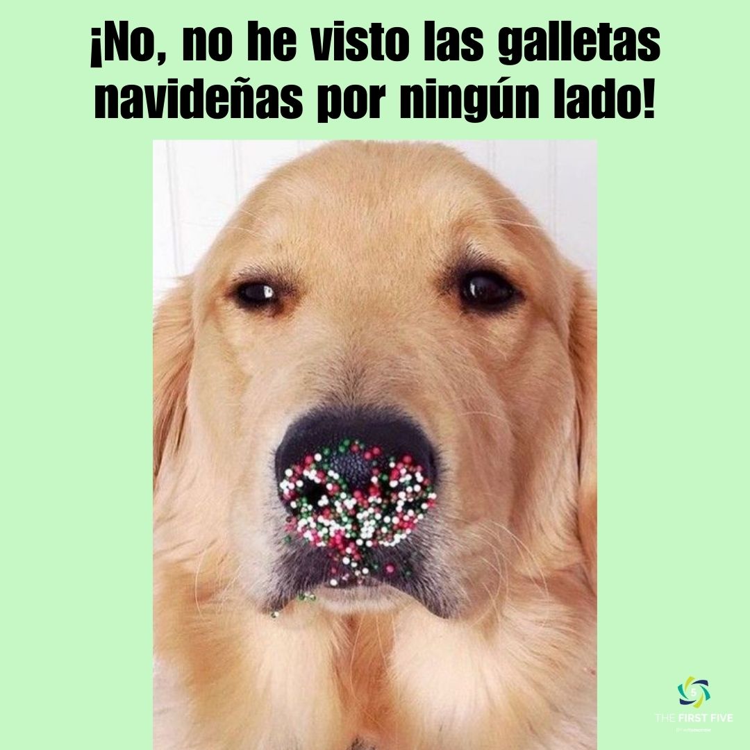 Perro con Chispas