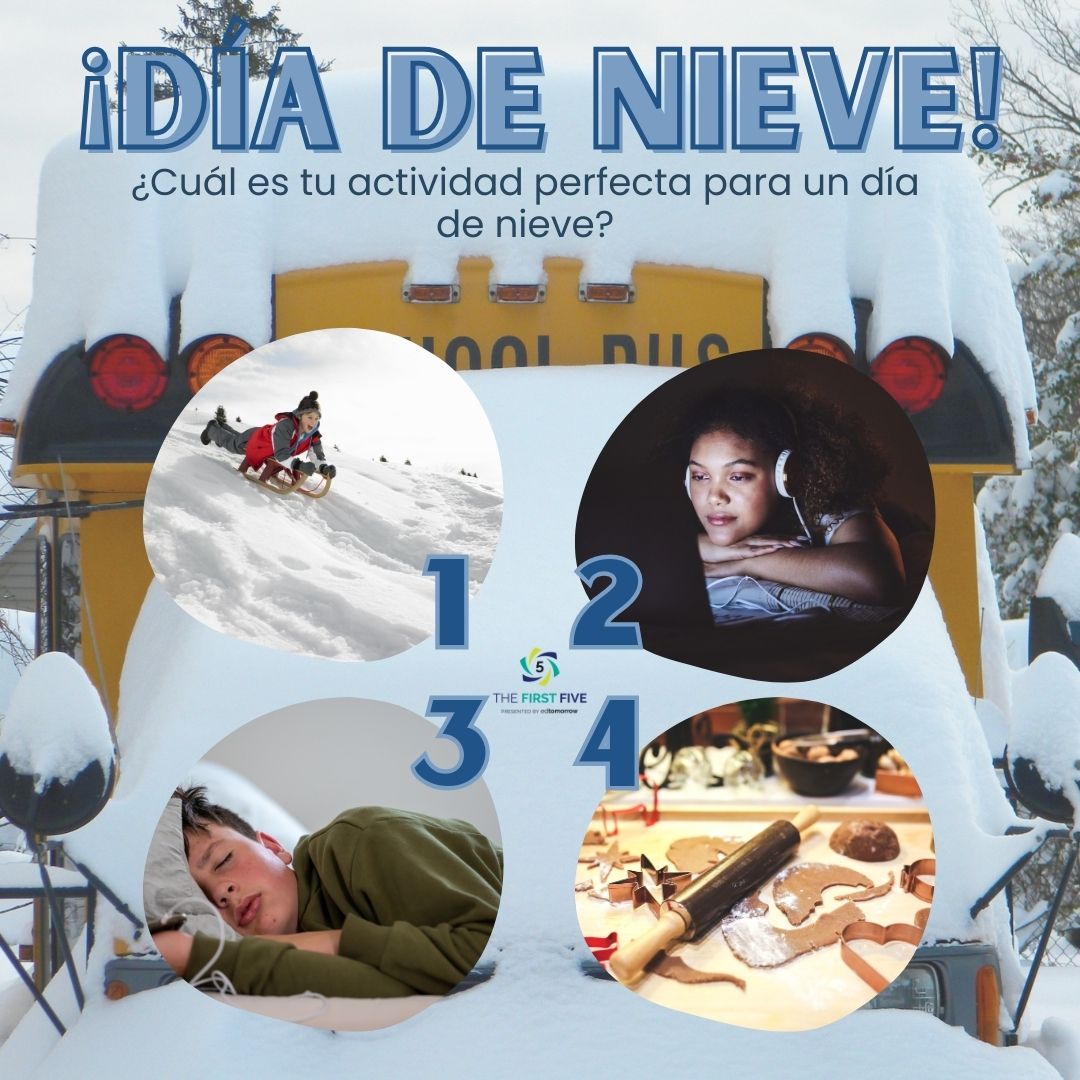 Actividad de Día de Nieve