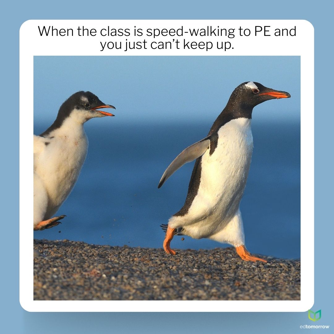Penguin Chase to PE