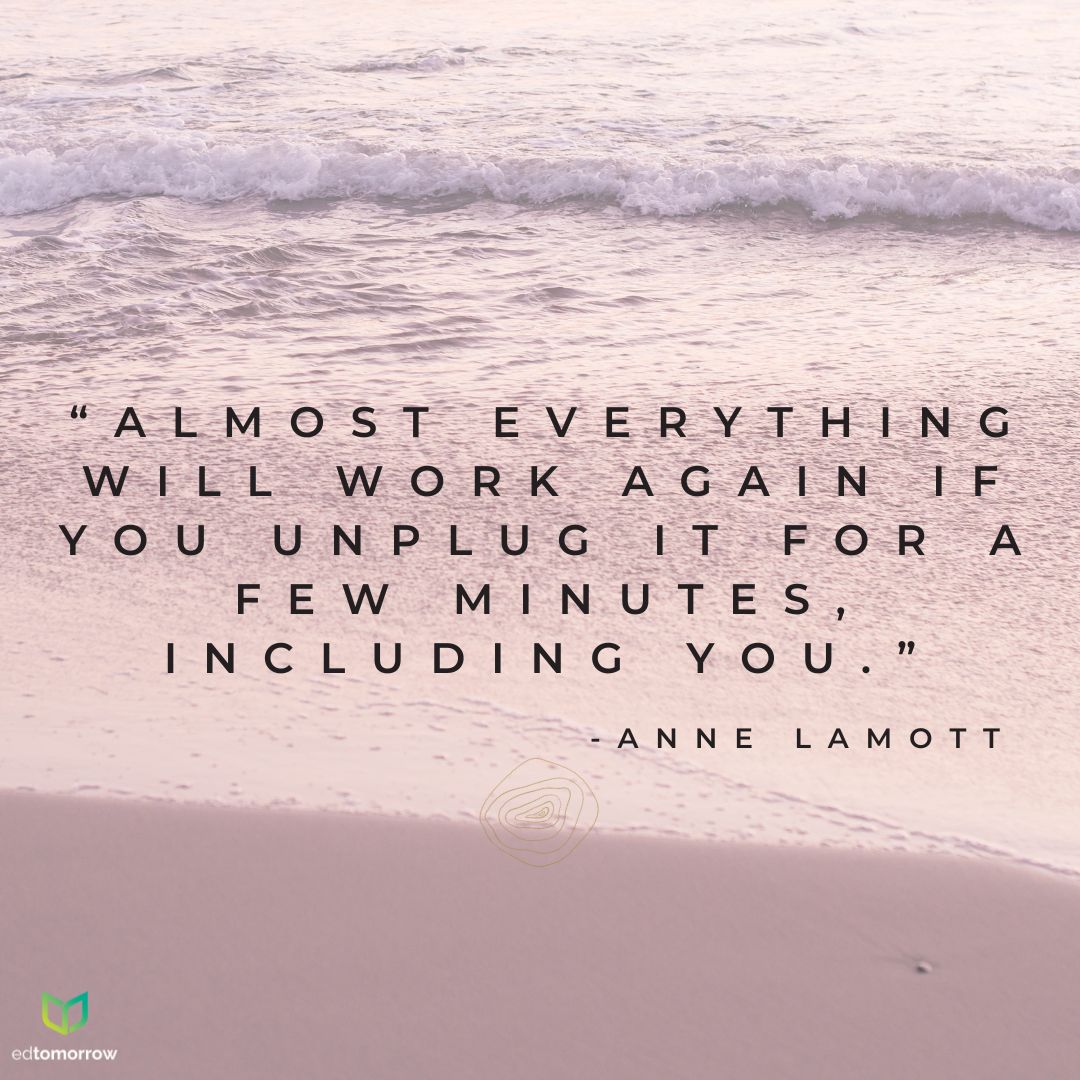 Anne Lamott Unplug