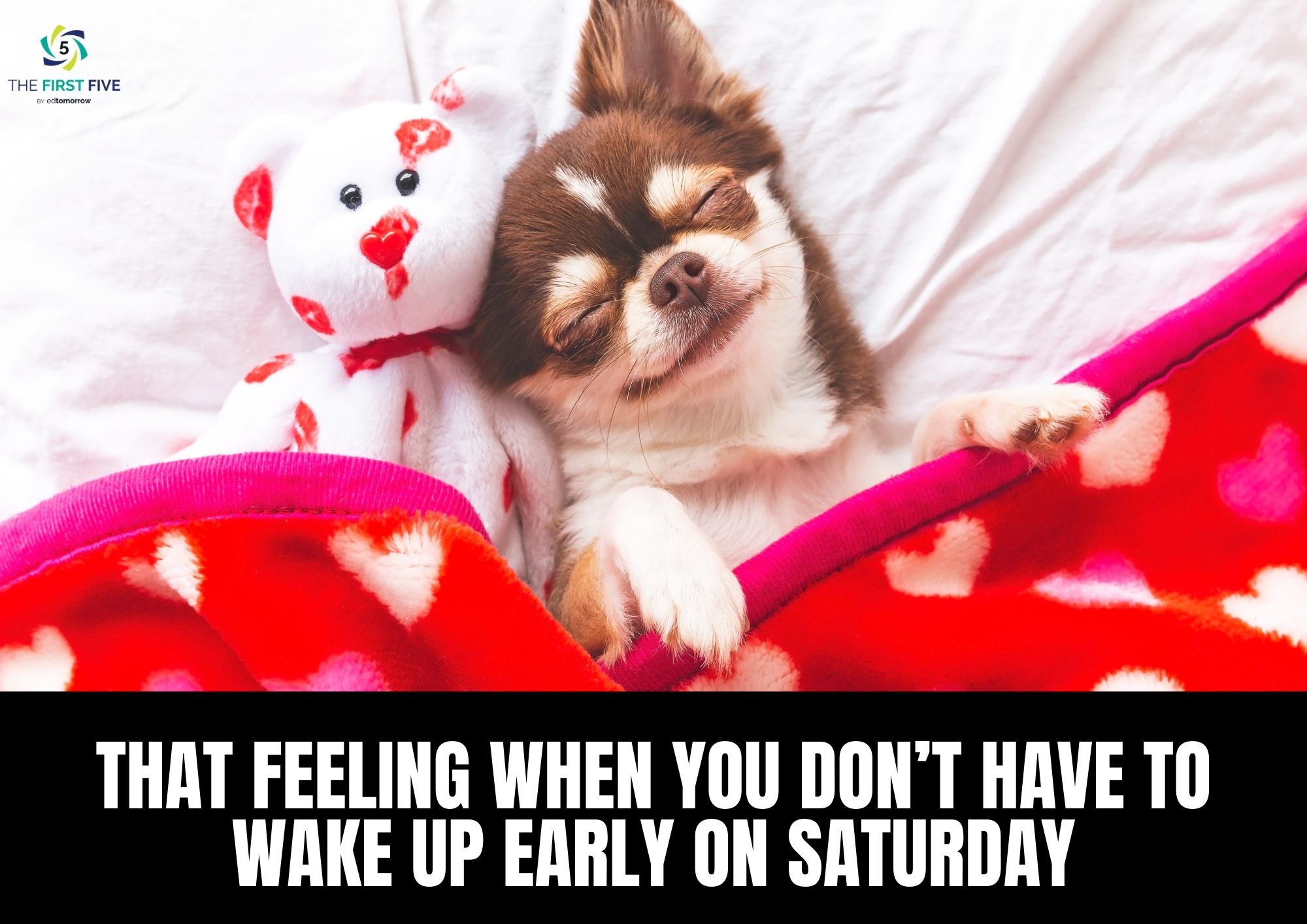 Puppy Saturday Sleep In