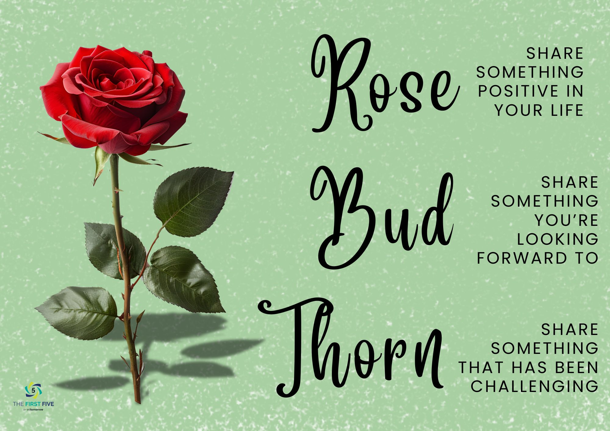 Rose, Bud, Thorn