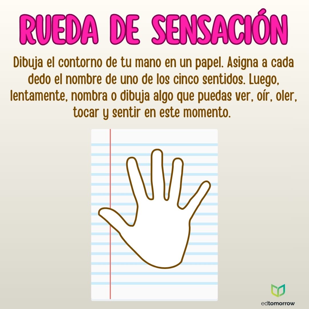 Rueda de Emociones