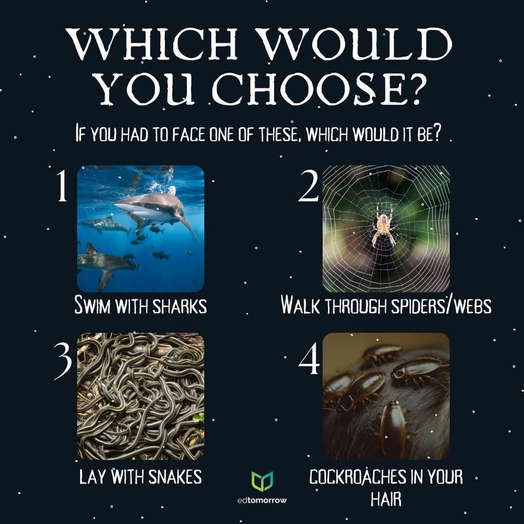 Face Your Fears