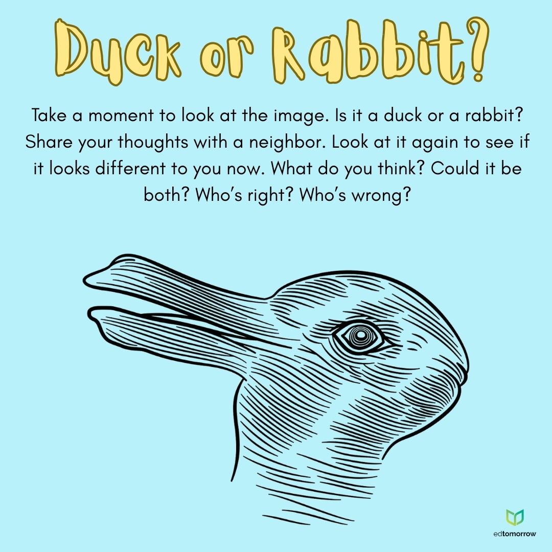 Duck or Rabbit?
