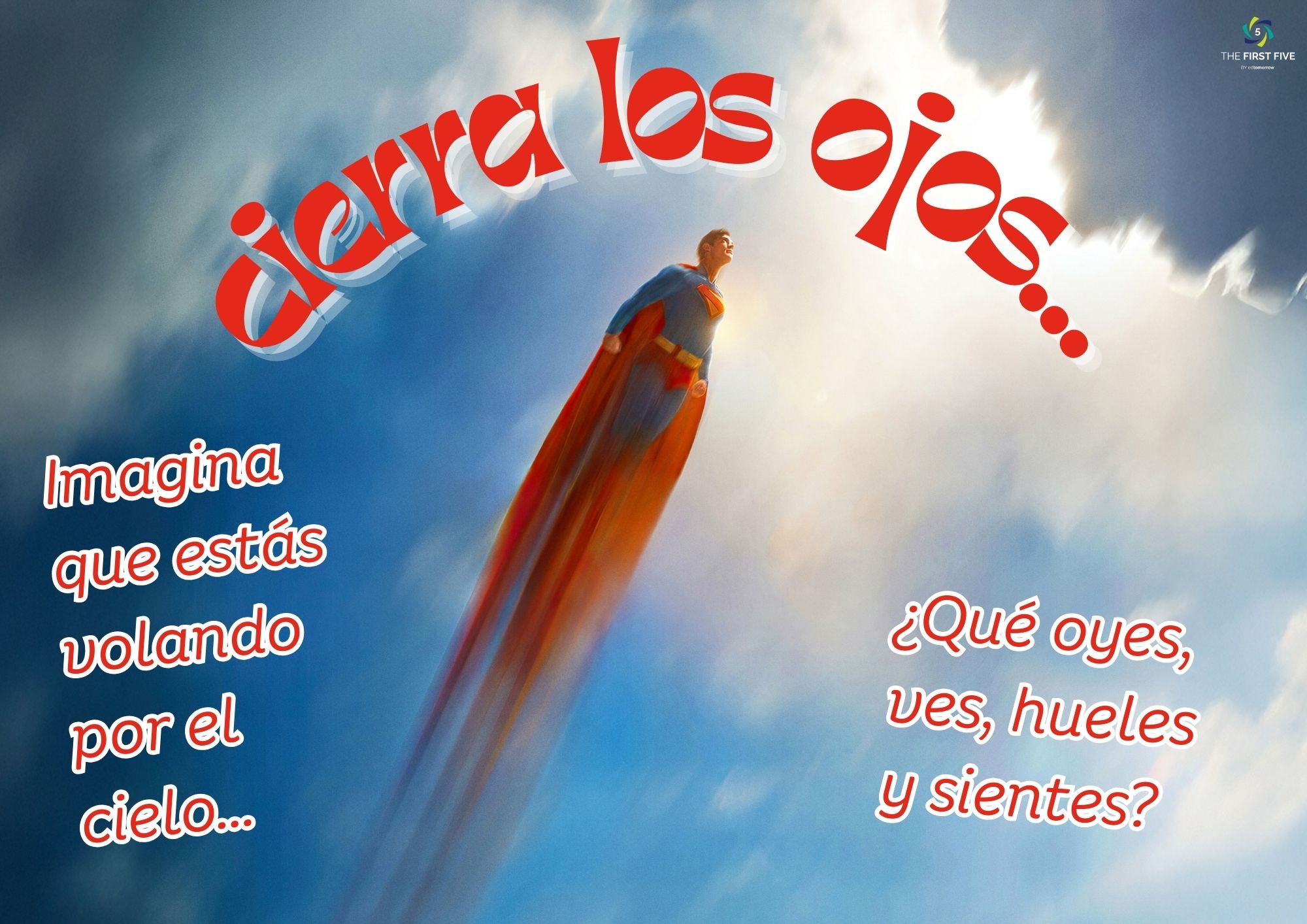 Sentimientos Voladores