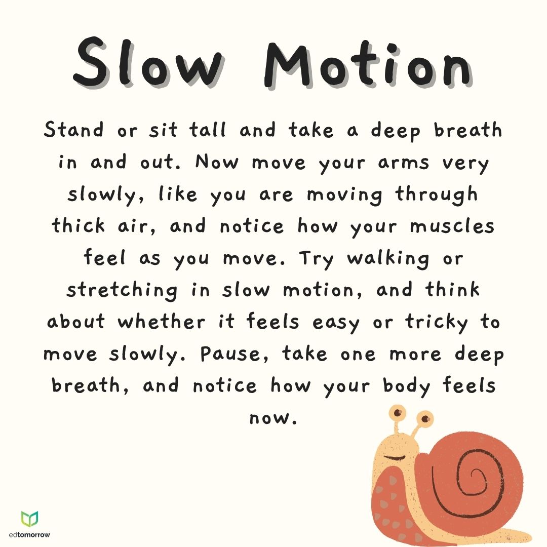 Slow Motion Snail