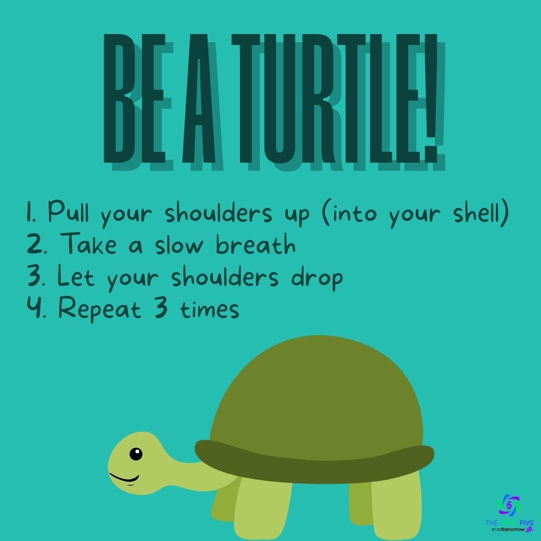 Be a Turtle!