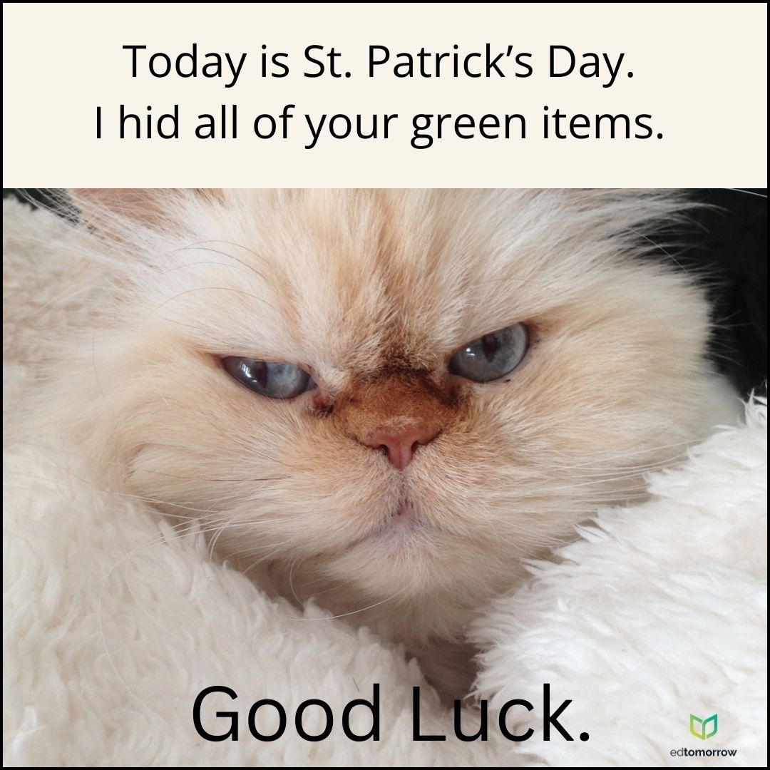 Green Items Cat