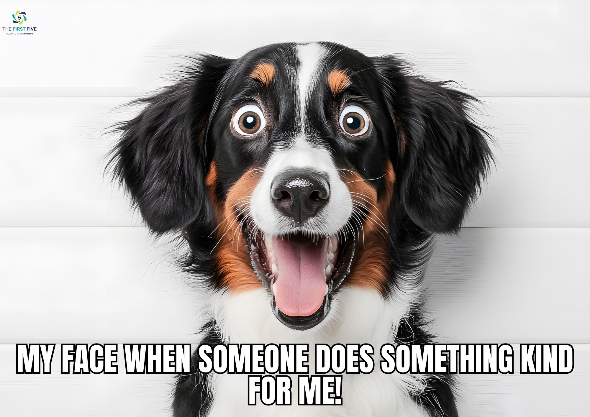 Dog Smile Kindness