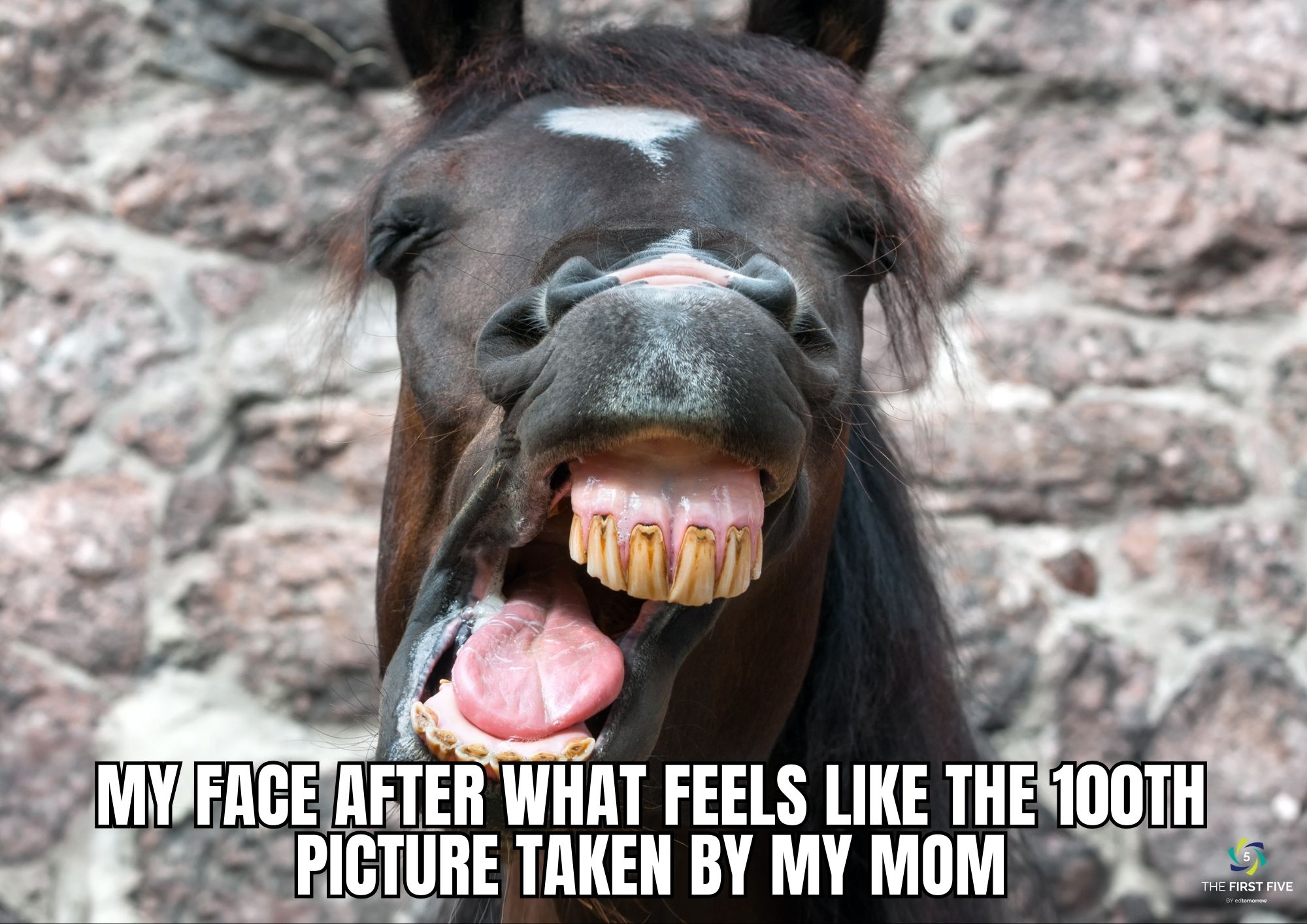 Horse Mom Photos