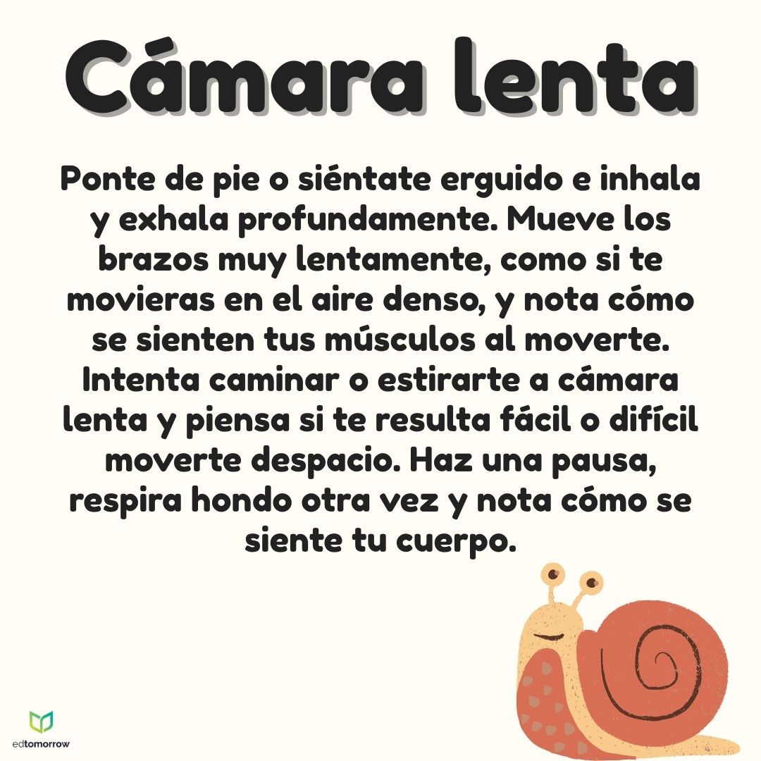 Cámara Lenta