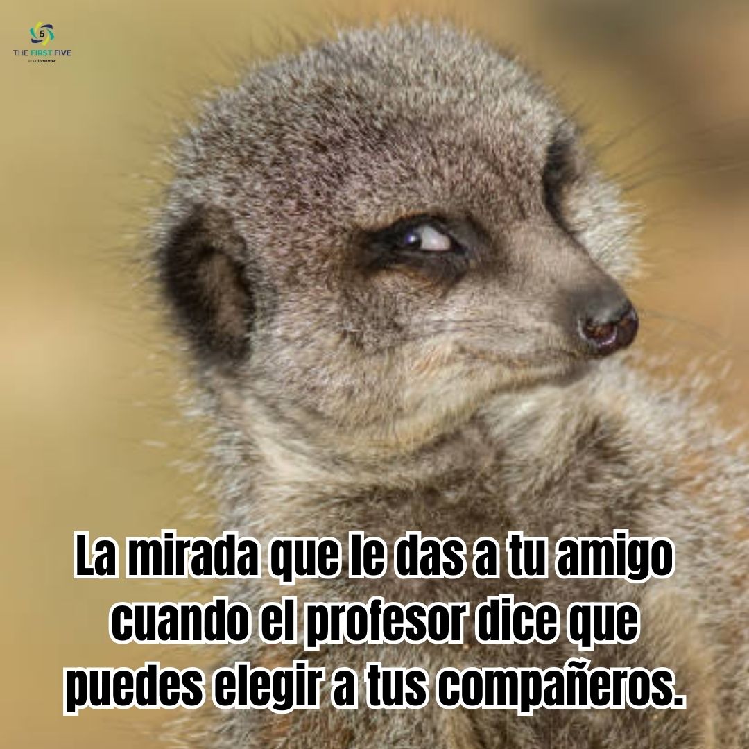 Elige Tu Compañero