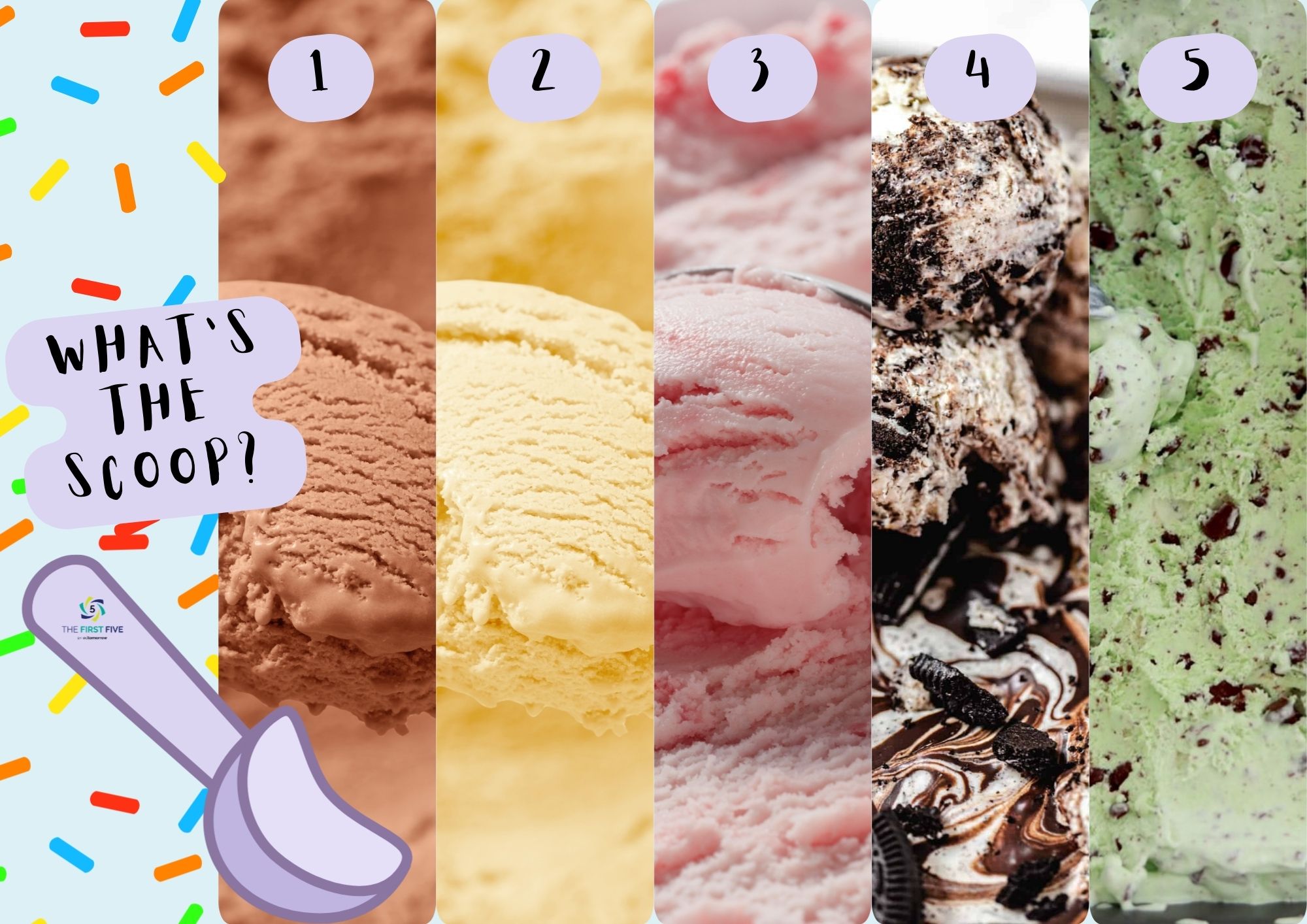 Ice Cream Scoop Choice