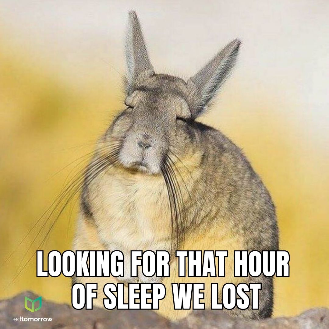 Daylight Savings Rabbit
