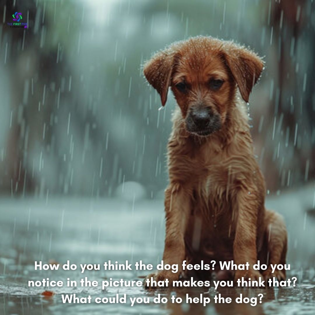 Dog in the Rain