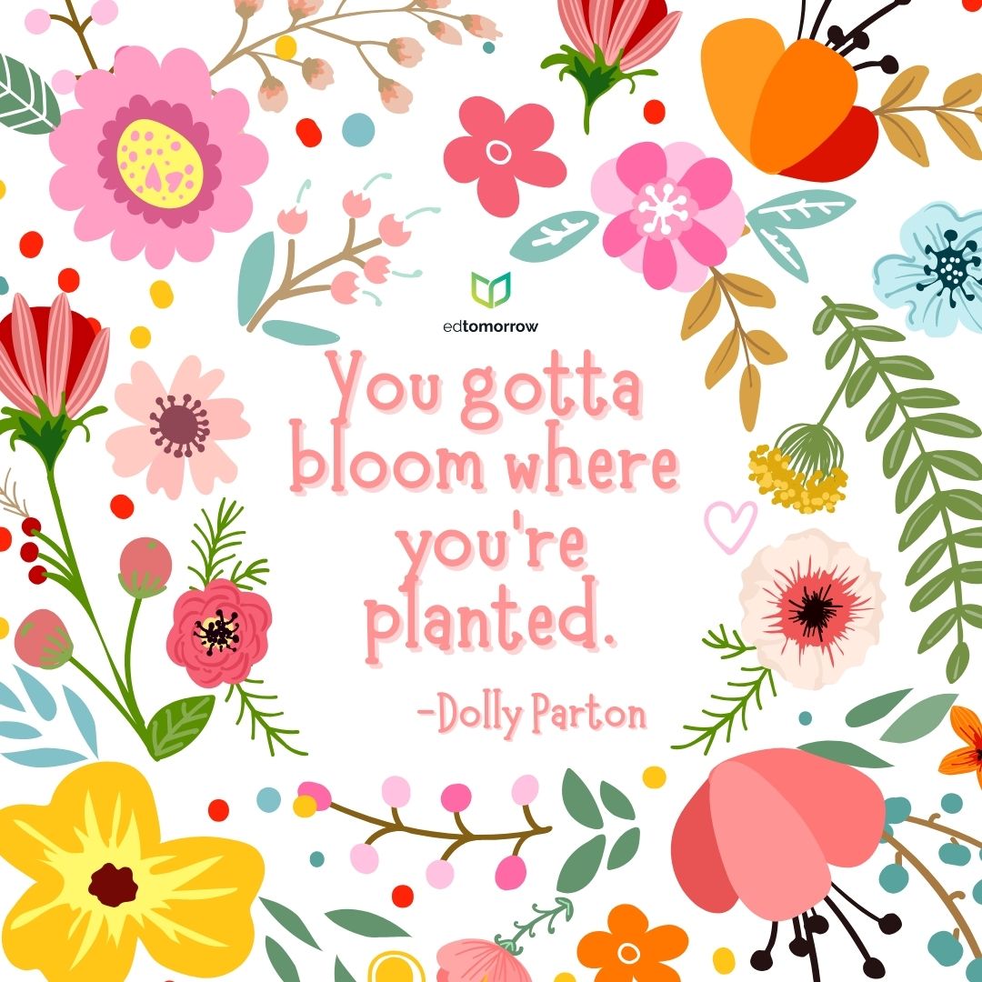 Dolly Parton Spring