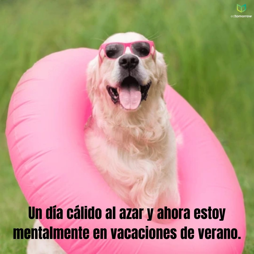 Día Cálido en Invierno