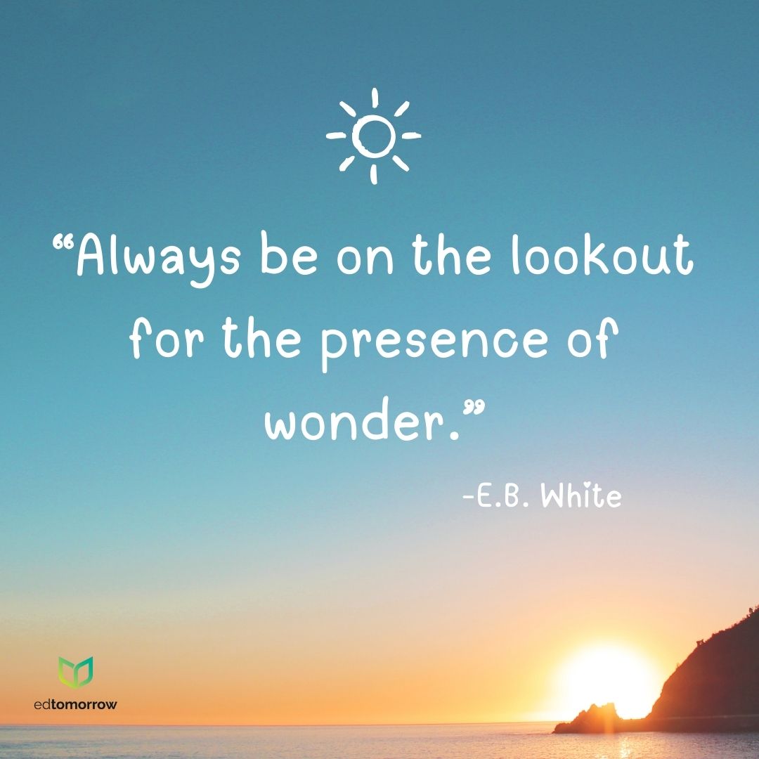 E.B. White Wonder