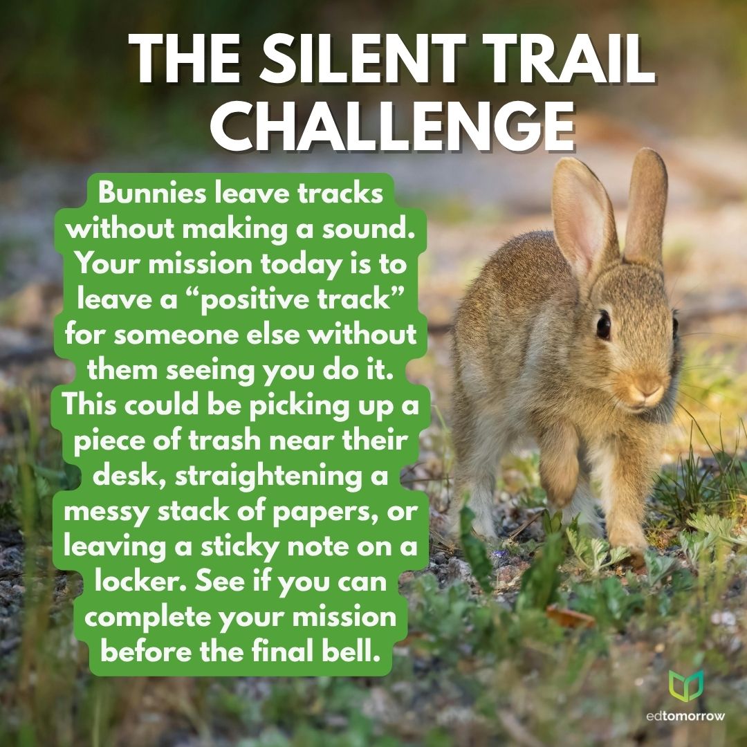 The Silent Trail Challenge