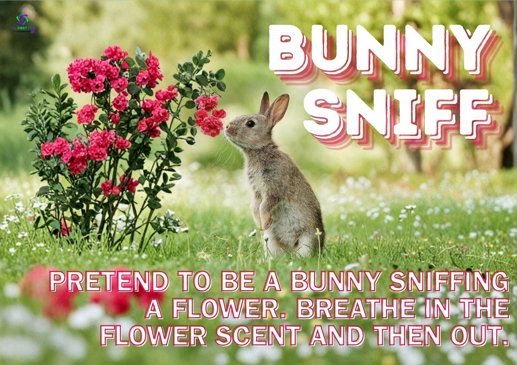 Sniff Spring Bunny Sniff - First Five PLUS