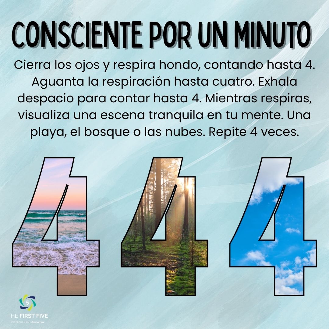 Consciencia Plena por 4 Minutos