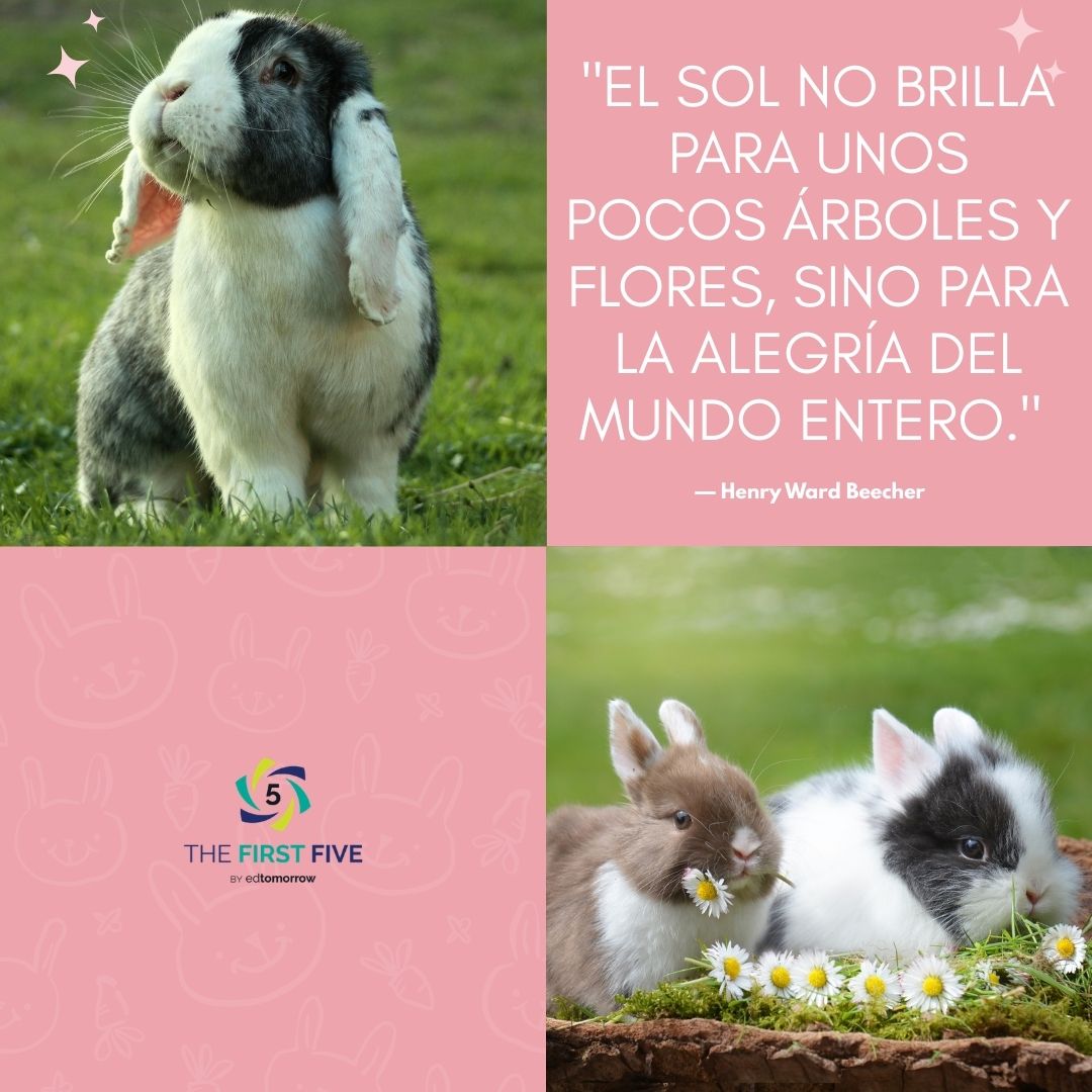 Henry Ward Beecher El sol no brilla