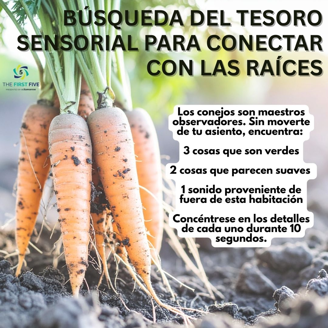 Raíces que conectan a tierra