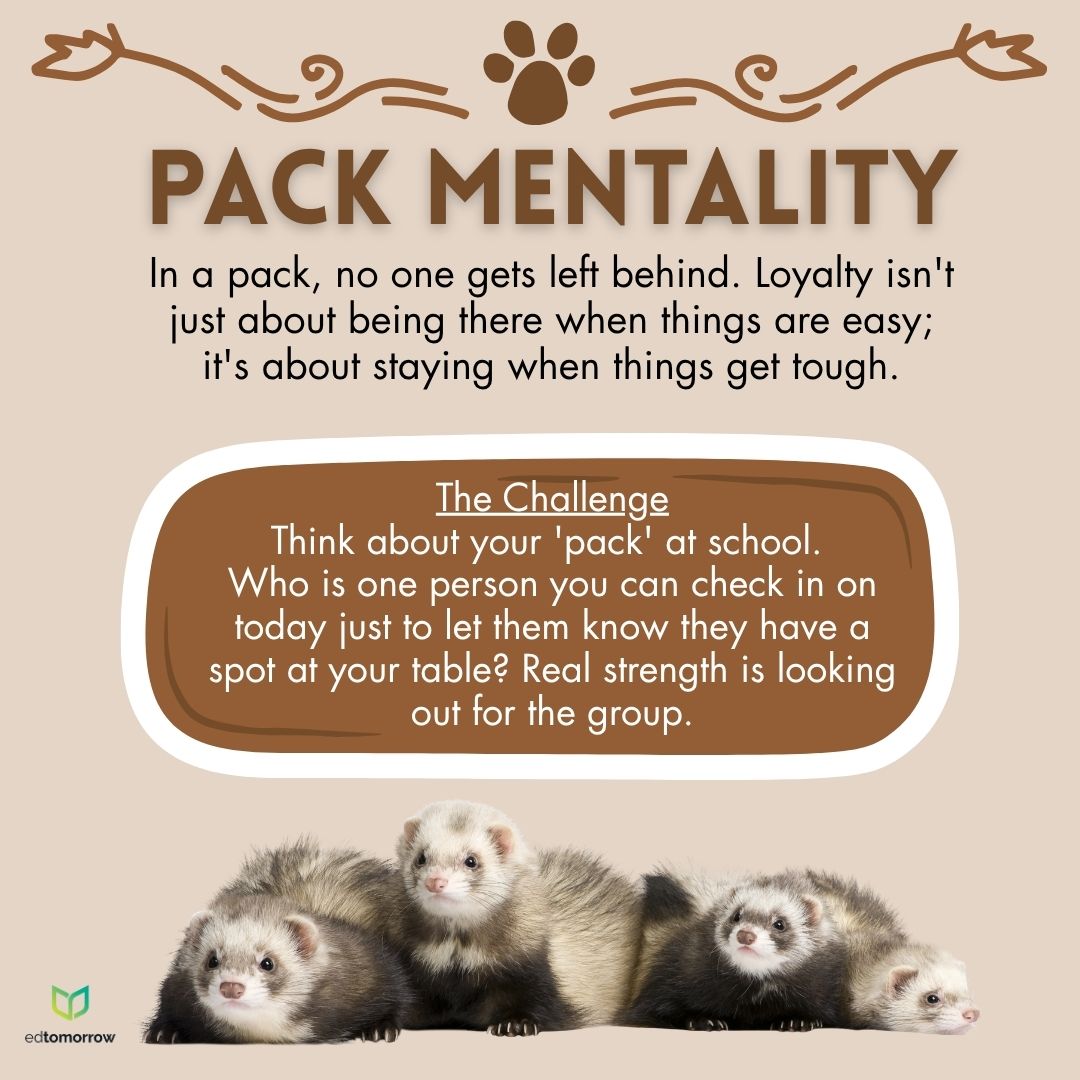 Pack Mentality