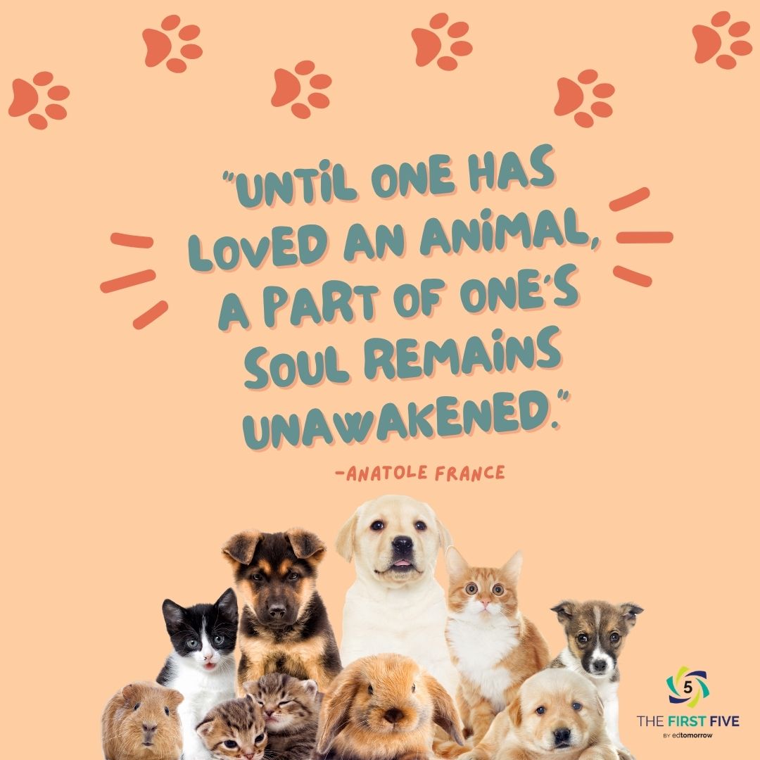 Love an Animal