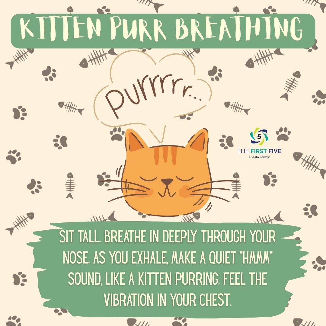 Kitten Purr Breathing