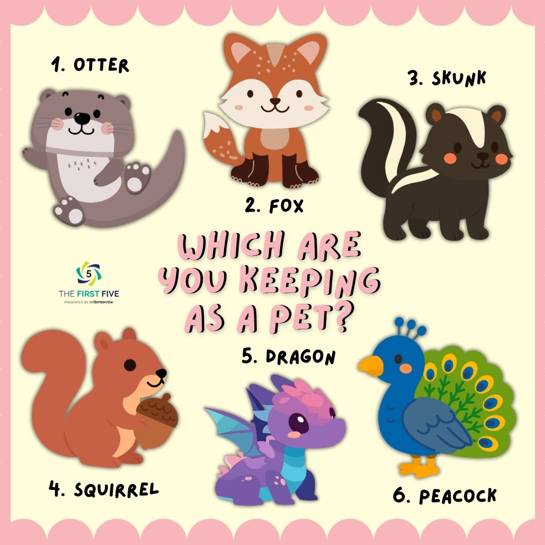 Exotic Pet Options