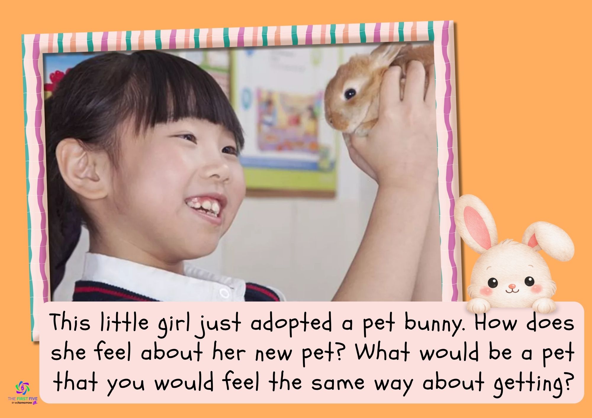 Pet Bunny Excited