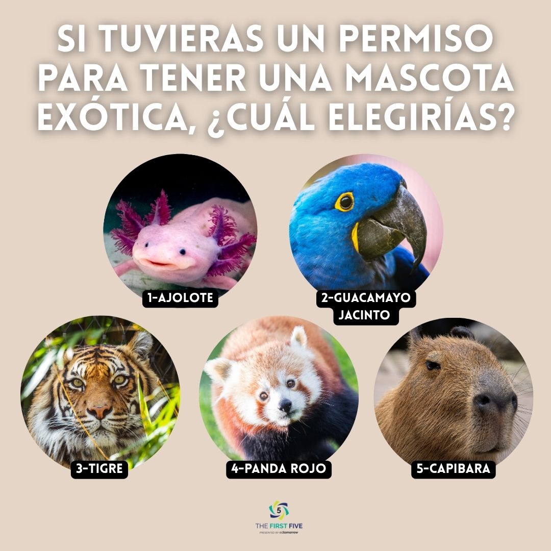 Permitir Opciones de Mascotas Exóticas