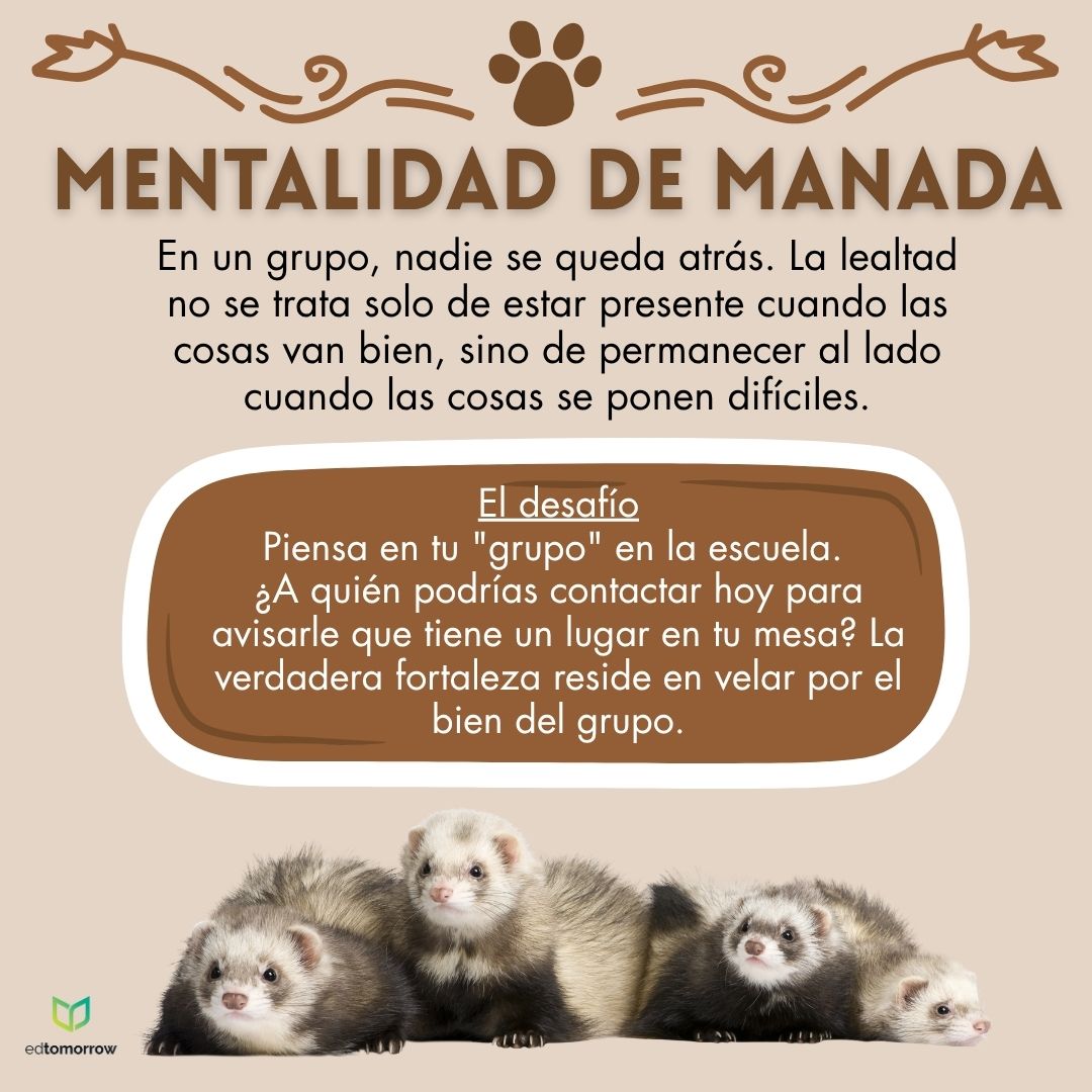 Mentalidad de Grupo