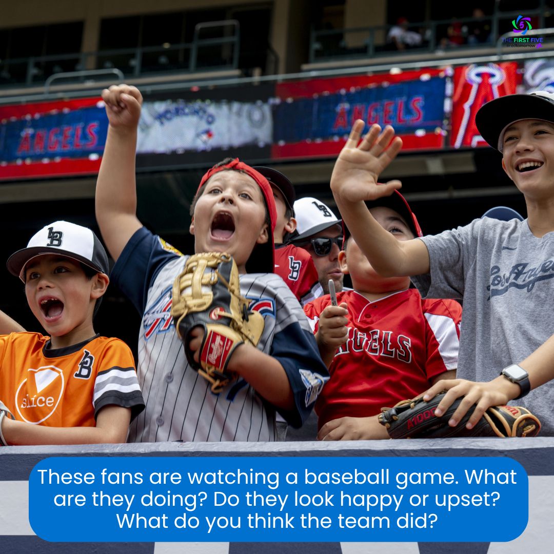 Baseball Fans