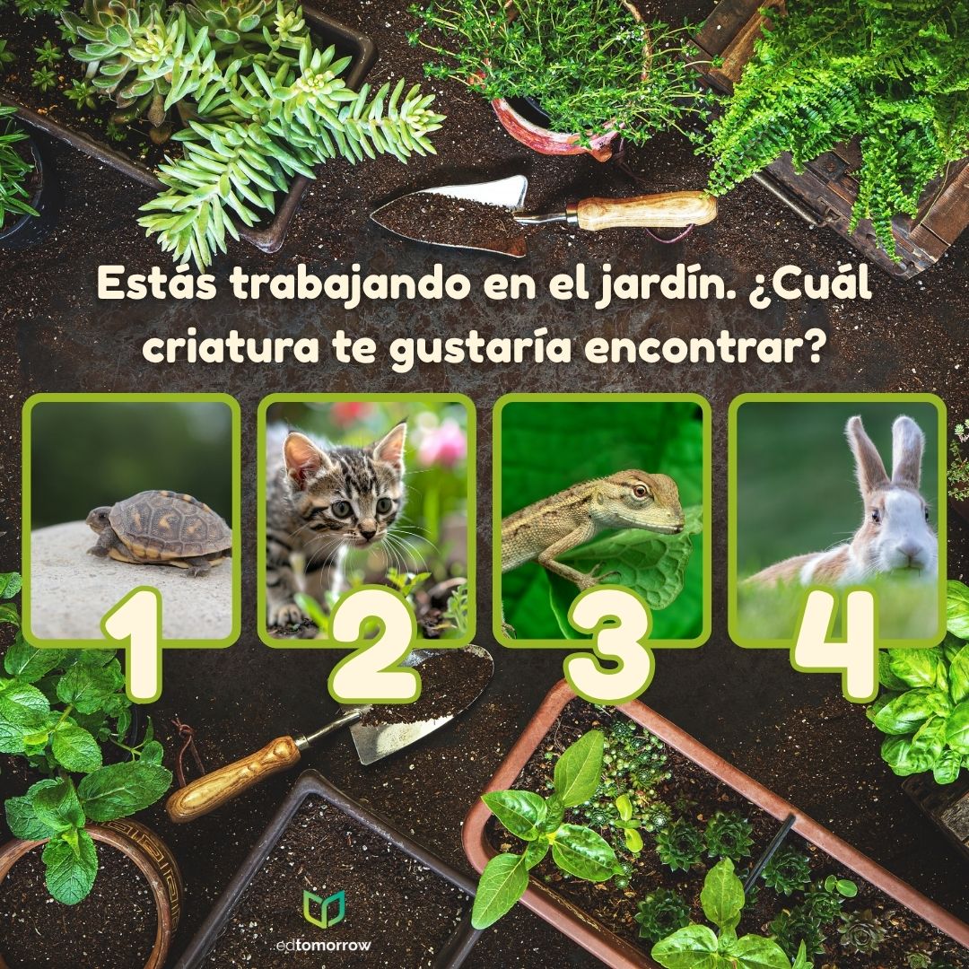 Descubrimiento en el Jardín