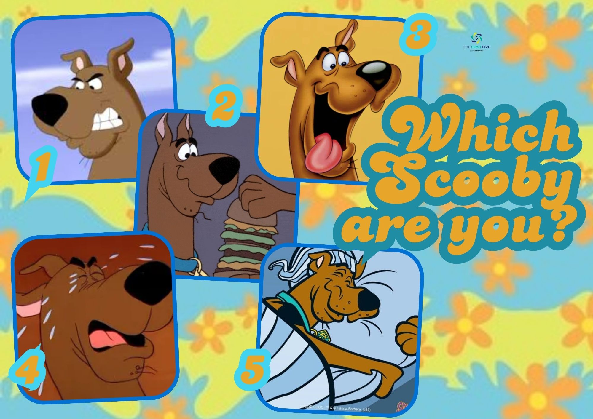 Scooby Doo Emotions