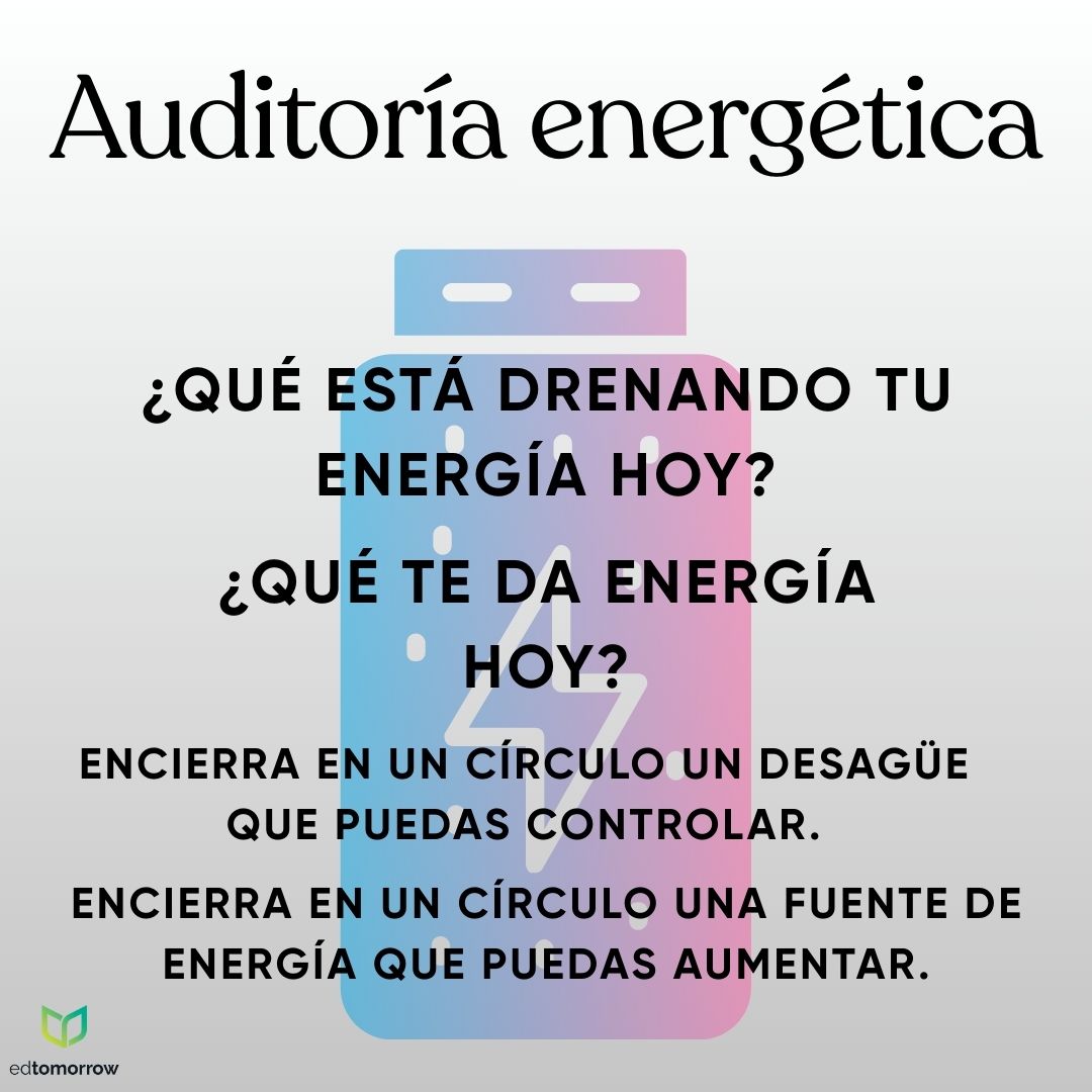 Auditoría de Energía
