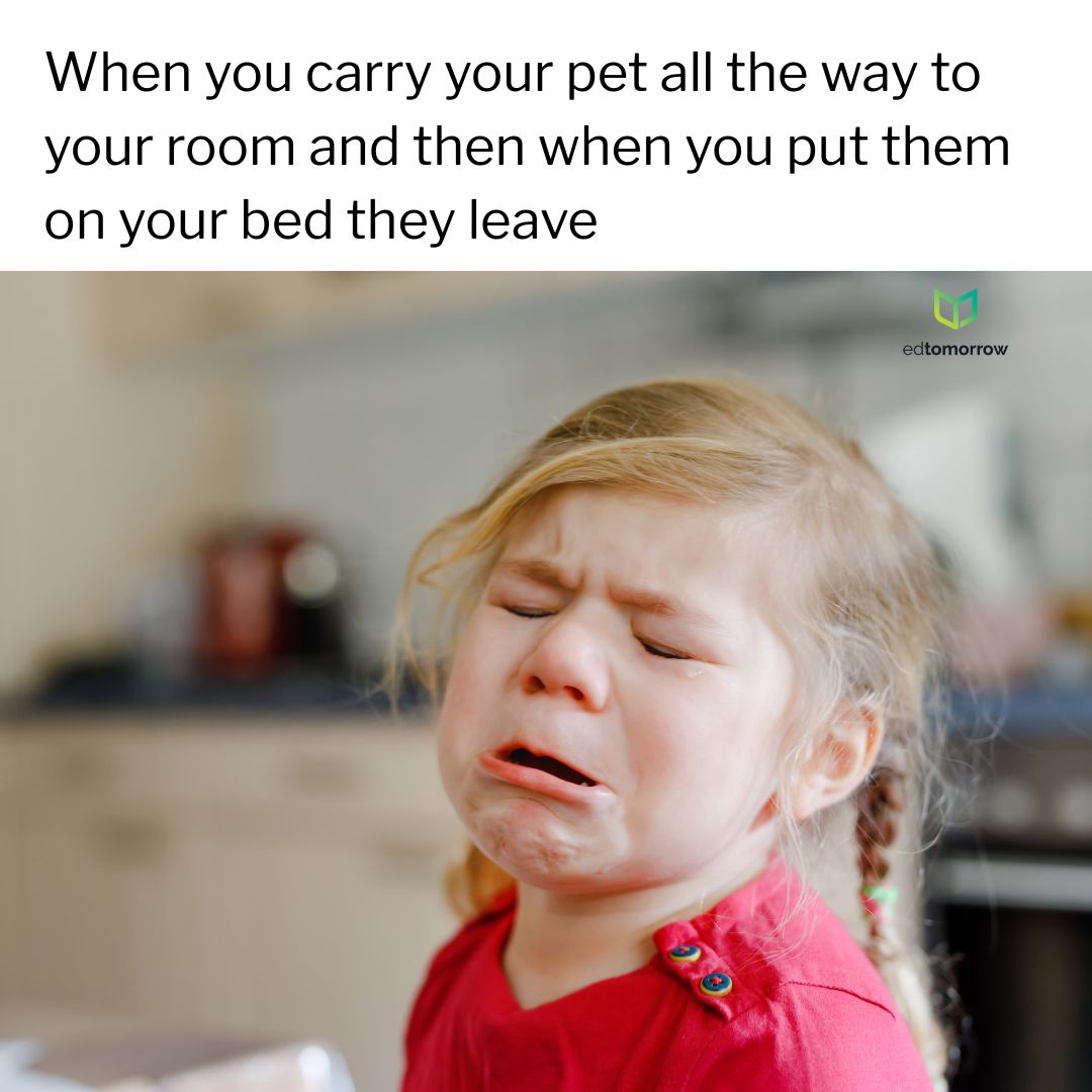 Pet Leaving Room